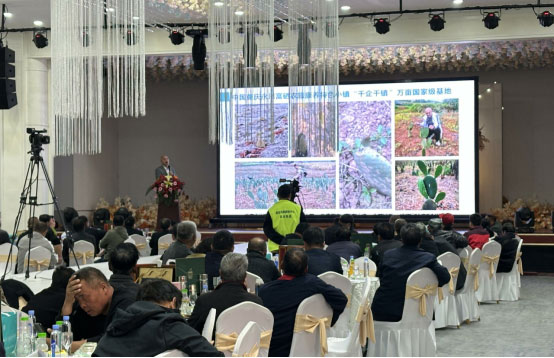 乡村振兴新突破：神航量子科技赋能烟台苹果产